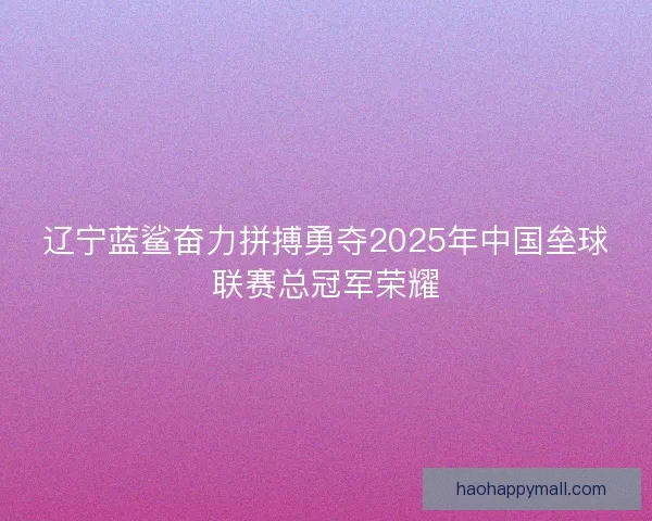 辽宁蓝鲨奋力拼搏勇夺2025年中国垒球联赛总冠军荣耀