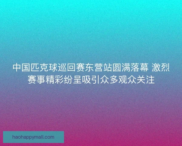 中国匹克球巡回赛东营站圆满落幕 激烈赛事精彩纷呈吸引众多观众关注